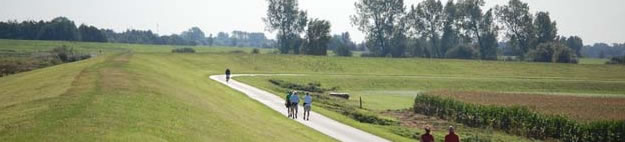Wandelaars